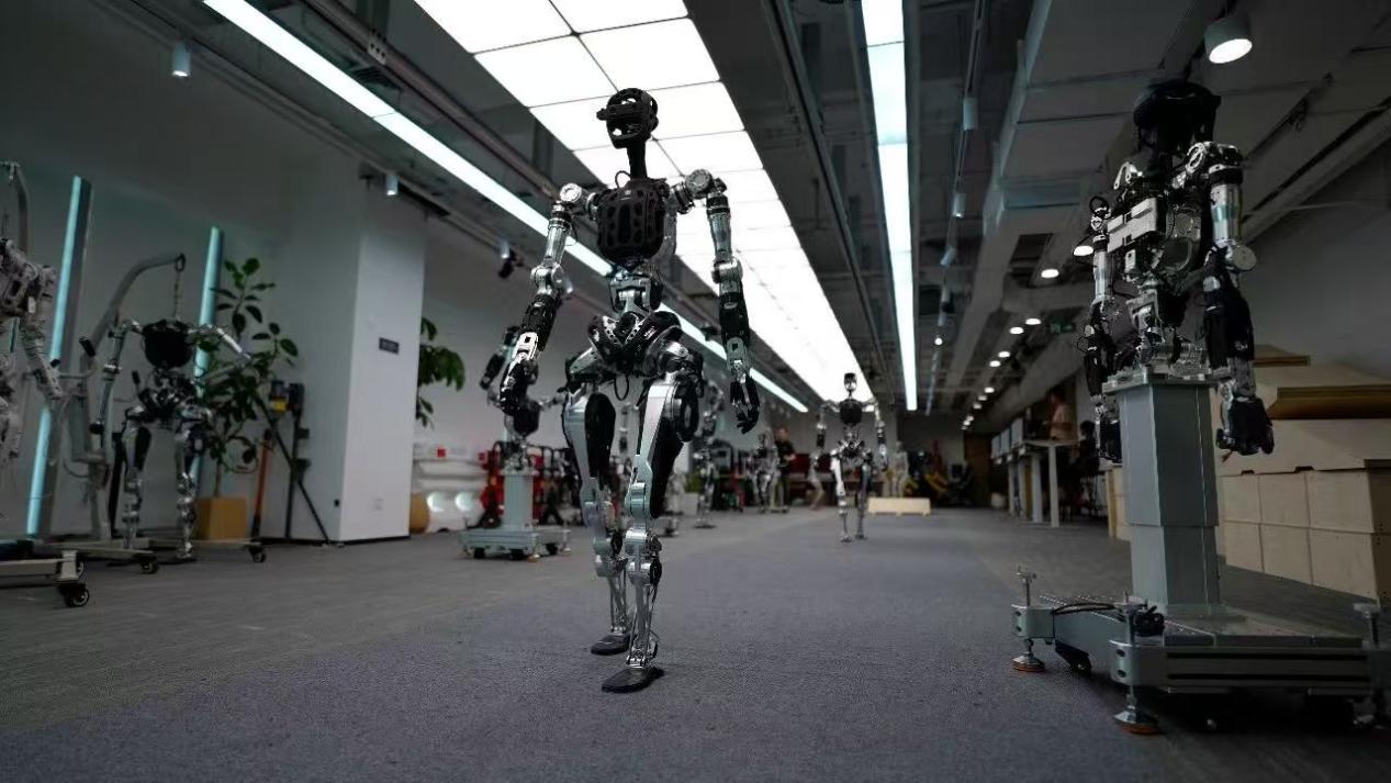 f537de79b3b81e9fb1a7cf2355296ab3